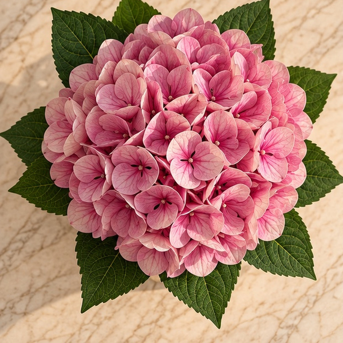 20 cm Pembe Premium Yapay Ortanca Aranjmanı