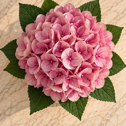 20 cm Pembe Premium Yapay Ortanca Aranjmanı