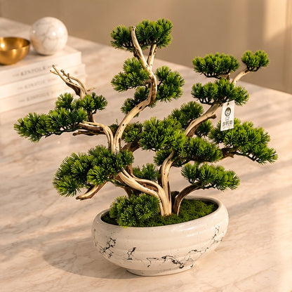 65 cm Premium Yapay Bonsai Ağacı – Seramik Saksılı