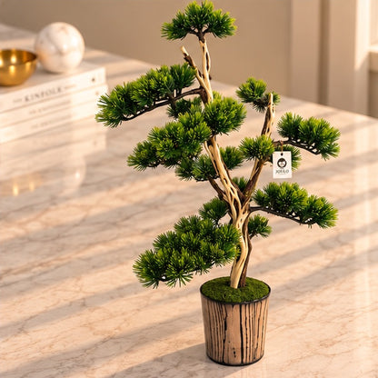 70 cm Premium Yapay Bonsai Ağacı – Seramik Saksılı