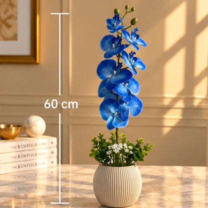 60 cm Mavi Premium Yapay Orkide Aranjmanı