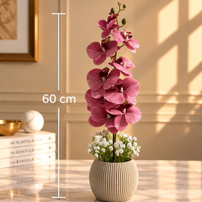 60 cm Fuşya Premium Yapay Orkide Aranjmanı