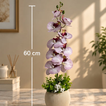 60 cm Pudra Premium Yapay Orkide Aranjmanı